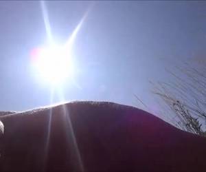 Deze kale homo bezit zelfvertrouwen en doorzettingsvermogen. Hij filmt namelijk zijn blowjob van een half slappe pik die maar niet overeind wil komen. Geen happy ending. Amateur , Kale homo filmt zijn blowjob