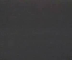 Tekenfilm Cartoon neuken als konijnen